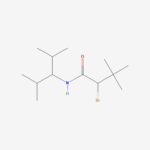 N1-(1-ISOPROPYL-2-METHYLPROPYL)-2-BROMO-3,3-DIMETHYLBUTANAMIDE chemical structure N1-(1-ISOPROPYL-2-METHYLPROPYL)-2-BROMO-3,3-DIMETHYLBUTANAMIDE (CAS: 69959-85-9) - Chemical Structure and Molecular Formula