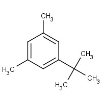 5-TERT-BUTYL-M-XYLENE (CAS: 98-19-1) - Related Chemical Product