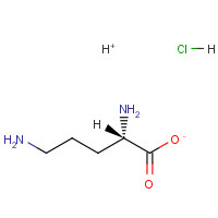 D-Ornithine monohydrochloride (CAS: 16682-12-5) - Chemical Structure and Molecular Formula 