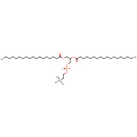 L-ALPHA-PHOSPHATIDYLCHOLINE,DISTEAROYL (CAS: 816-94-4) - Chemical Structure and Molecular Formula 