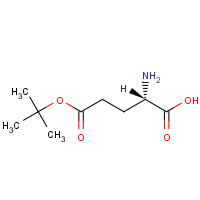 L-Glutamic acid 5-tert-butyl ester (CAS: 2419-56-9) - Chemical Structure and Molecular Formula 