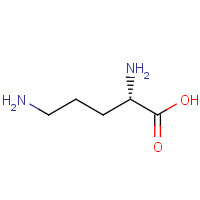 L-Ornithine (CAS: 70-26-8) - Related Chemical Product