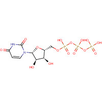 UTP (CAS: 63-39-8) - Chemical Structure and Molecular Formula 