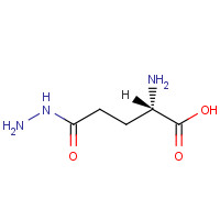 L-GLUTAMIC ACID GAMMA-HYDRAZIDE (CAS: 1820-73-1) - Related Chemical Product
