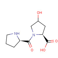 H-PRO-HYP-OH (CAS: 18684-24-7) - Related Chemical Product