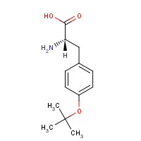 O-tert-Butyl-L-tyrosine (CAS: 18822-59-8) - Chemical Structure and Molecular Formula 