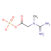 CREATINE PHOSPHATE DISODIUM SALT HEXAHYDRATE (CAS: 19333-65-4) - Related Chemical Product