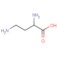 D-2,4-Diaminobutyric acid (CAS: 26908-94-1) - Chemical Structure and Molecular Formula 