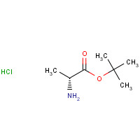 D-Alanine tert-butyl ester hydrochloride (CAS: 59531-86-1) - Chemical Structure and Molecular Formula 