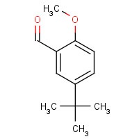 5-(TERT-BUTYL)-2-METHOXYBENZENECARBALDEHYDE (CAS: 85943-26-6) - Chemical Structure and Molecular Formula 