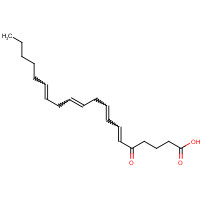 5-KETE (CAS: 106154-18-1) - Related Chemical Product