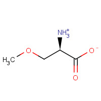 DL-O-METHYLSERINE (CAS: 19794-53-7) - Related Chemical Product