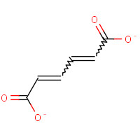 trans,trans-Muconic acid (CAS: 3588-17-8) - Chemical Structure and Molecular Formula 