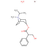 3-(3-Hydroxy-1-oxo-2-phenylpropoxy)-8-methyl-8-(1-methylethyl)-8-azoniabicyclo(3.2.1)octane bromide monohydrate (CAS: 66985-17-9) - Chemical Structure and Molecular Formula 