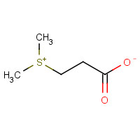 dimethylpropiothetin (CAS: 7314-30-9) - Related Chemical Product