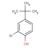 2-BROMO-4-TERT-BUTYLPHENOL (CAS: 2198-66-5) - Chemical Structure and Molecular Formula 