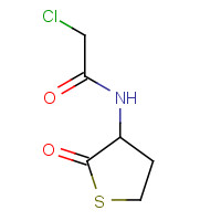 N-Chloroacetyl DL-Homocysteine Thiolactone (CAS: 84611-22-3) - Chemical Structure and Molecular Formula 