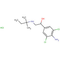 Clenpenterol Hydrochloride (CAS: 37158-47-7) - Related Chemical Product