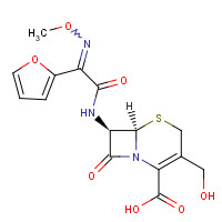 Descarbamoyl Cefuroxime (CAS: 56271-94-4) - Chemical Structure and Molecular Formula 