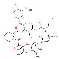 Dihydro FK-506 (CAS: 104987-30-6) - Related Chemical Product