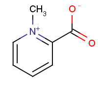 Homarine (CAS: 445-30-7) - Related Chemical Product