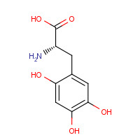 6-Hydroxy-L-DOPA chemical structure 6-Hydroxy-L-DOPA (CAS: 27244-64-0) - Chemical Structure and Molecular Formula