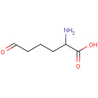 6-Oxo DL-Norleucine (CAS: 1962-83-0) - Related Chemical Product