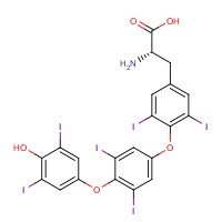 Thyroxine-4-hydroxy-3,5-diiodophenyl Ether (CAS: 911661-90-0) - Related Chemical Product