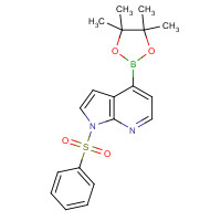 1-Phenylsulfonyl-7-azaindole-4-boronic acid pinacol ester (CAS: 942919-24-6) - Chemical Structure and Molecular Formula 