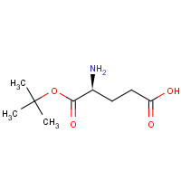 (4S)-4-Amino-5-[(2-methyl-2-propanyl)oxy]-5-oxopentanoic acid (non-preferred name) (CAS: 45120-30-7) - Chemical Structure and Molecular Formula 