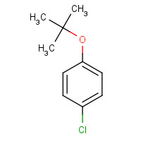 1-tert-Butoxy-4-chlorobenzene chemical structure 1-tert-Butoxy-4-chlorobenzene (CAS: 18995-35-2) - Chemical Structure and Molecular Formula