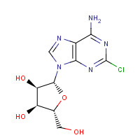 2-Chloroadenosine (CAS: 246-77-0) - Related Chemical Product