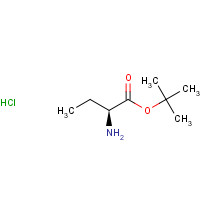 H-ABU-OTBU HCL (CAS: 53956-05-1) - Chemical Structure and Molecular Formula 