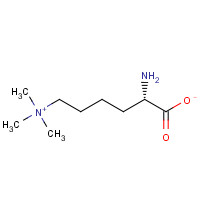 N-EPSILON,N-EPSILON,N-EPSILON-TRIMETHYLLYSINE (CAS: 23284-33-5) - Chemical Structure and Molecular Formula 