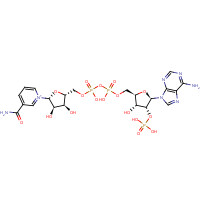 NADP (CAS: 53-59-8) - Chemical Structure and Molecular Formula 