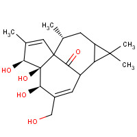 INGENOL (CAS: 30220-46-3) - Related Chemical Product