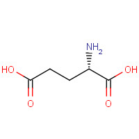 Glutamic acid (CAS: 6899-05-4) - Related Chemical Product