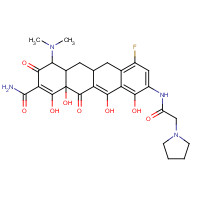 (4S,4aS,5aR,12aR)-4-(dimethylamino)-7-fluoro-1,10,11,12a-tetrahydroxy-3,12-dioxo-9-[(2-pyrrolidin-1-ylacetyl)amino]-4a,5,5a,6-tetrahydro-4H-tetracene-2-carboxamide (CAS: 1207283-85-9) - Chemical Structure and Molecular Formula 
