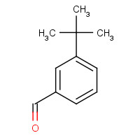 3-tert-butylbenzaldehyde (CAS: 23039-28-3) - Chemical Structure and Molecular Formula 