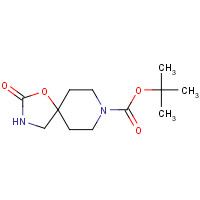 tert-butyl 2-oxo-1-oxa-3,8-diazaspiro[4.5]decane-8-carboxylate (CAS: 169206-55-7) - Chemical Structure and Molecular Formula 