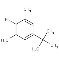 2-bromo-5-tert-butyl-1,3-dimethylbenzene (CAS: 5345-05-1) - Related Chemical Product