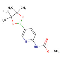 methyl N-[5-(4,4,5,5-tetramethyl-1,3,2-dioxaborolan-2-yl)pyridin-2-yl]carbamate (CAS: 1073372-02-7) - Related Chemical Product