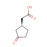 2-[(1S)-3-oxocyclopentyl]acetic acid (CAS: 2630-37-7) - Related Chemical Product