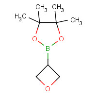 4,4,5,5-tetramethyl-2-(oxetan-3-yl)-1,3,2-dioxaborolane (CAS: 1396215-84-1) - Related Chemical Product