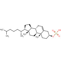 Cholesterol sulfate (CAS: 1256-86-6) - Related Chemical Product