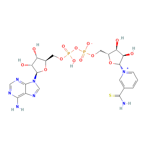 Thionicotinamide adenine dinucleotide (CAS: 4090-29-3) - Related Chemical Product