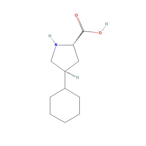 trans-4-Cyclohexyl-L-proline (CAS: 103201-78-1) - Related Chemical Product