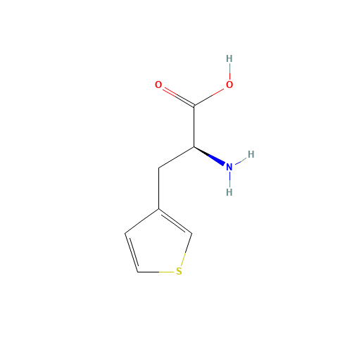 L-3-THIENYLALANINE (CAS: 3685-51-6) - Related Chemical Product