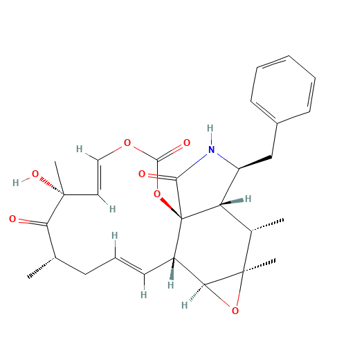 CYTOCHALASIN E (CAS: 36011-19-5) - Related Chemical Product