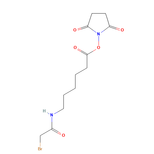 Succinimidyl-6-(bromoacetamido)caproate (CAS: 109880-16-2) - Chemical Structure and Molecular Formula 